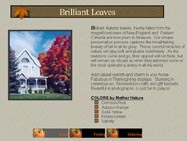 Brilliant Leaves