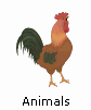 Animal Clipart