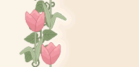 Tulip Border