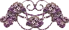 divider