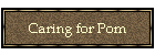 Caring for Pom