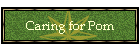Caring for Pom