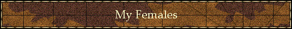 My Females