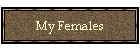 My Females
