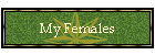 My Females