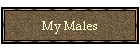 My Males