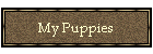 My Puppies