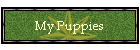 My Puppies
