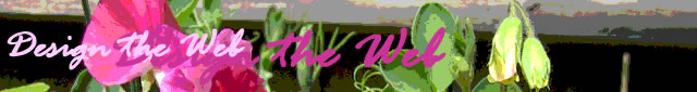 Home Page - Design the Web