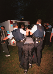 [Police on Horseback in Allen Gardens]