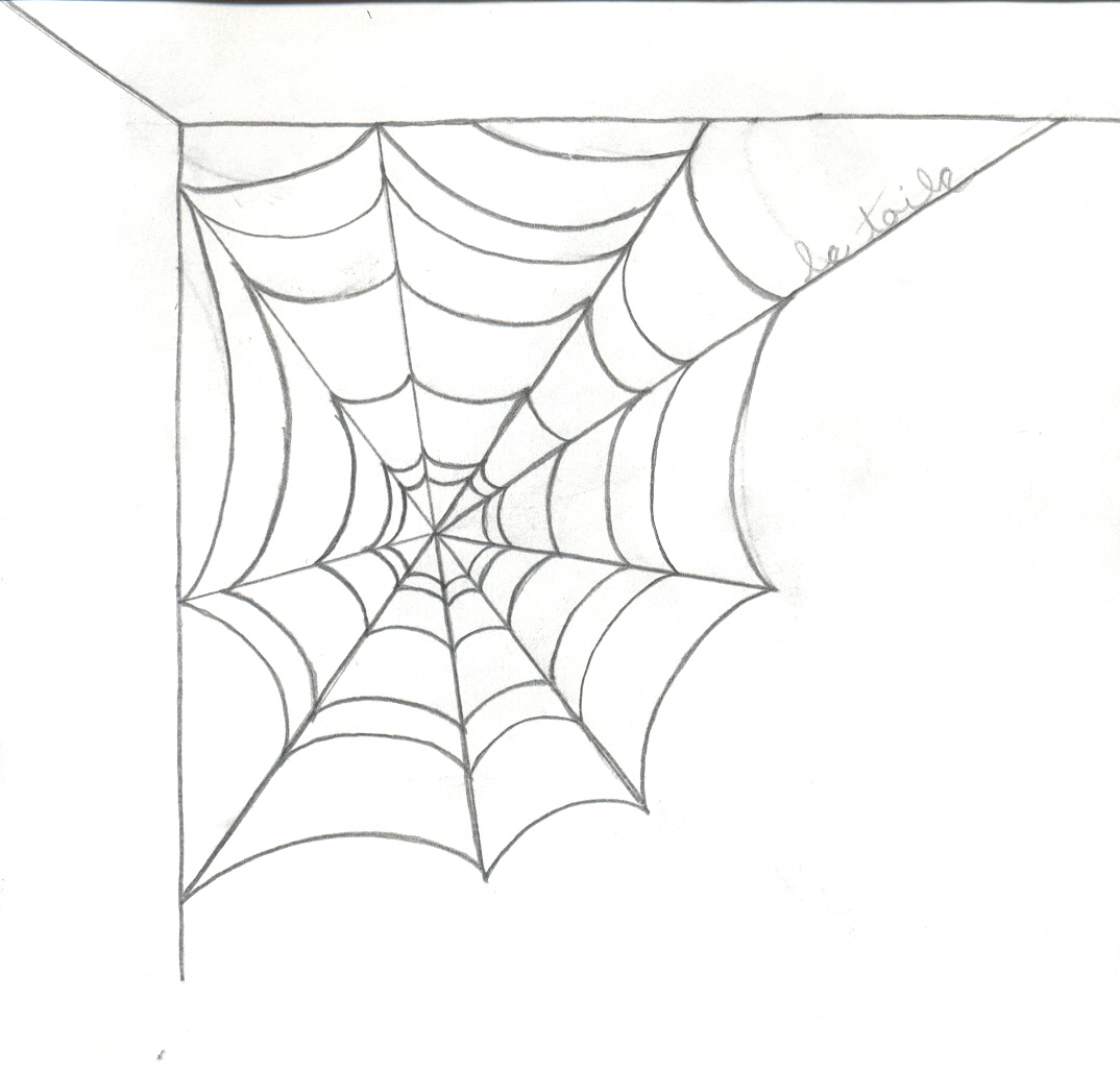 le toile-spider's web