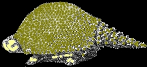 Glyptodonte