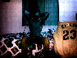 darker003.jpg