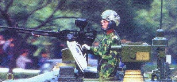 Box with the hooded aperture is the laser dazzler and the dome on the pole is the laser warning receiver.