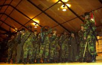 Desperado In Formation