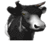 /user/cowicon.gif