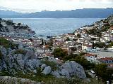 Hydra