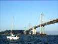 Bay Bridge