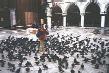 Piazza San Marco