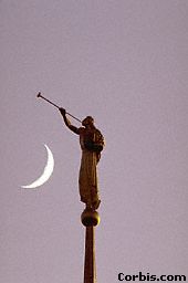 trumpeting angel