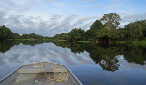 rio amazonas
