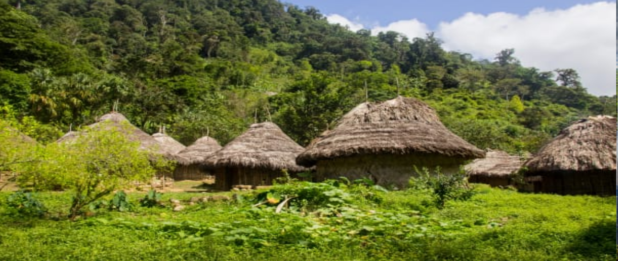 puebloindigena