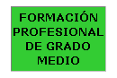 Cuadro de texto: FORMACI�N PROFESIONAL DE GRADO MEDIO
