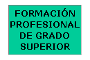 Cuadro de texto: FORMACI�N PROFESIONAL DE GRADO SUPERIOR

