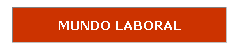 Cuadro de texto: MUNDO LABORAL
