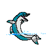 Happy Dolphin