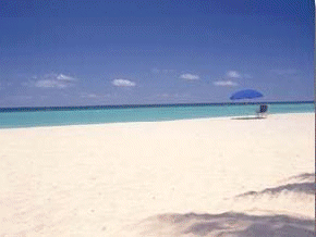 Emerald Waters of Destin Beach