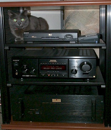 small left-rack-cat.jpg (51362 bytes)