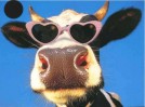 liefde?