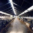 de stal
