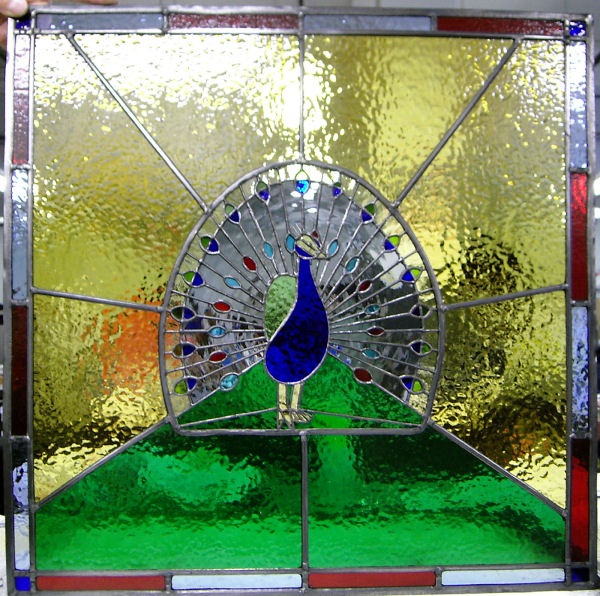 Peacock