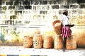 Bangalore Basket Seller Church St Karnataka India