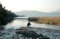 Ramganga River Crossing Kumaon Corbett National Park
