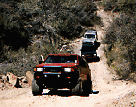 Mule Train