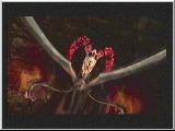 Devil May Cry