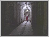 Devil May Cry