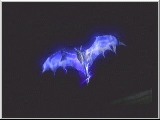Devil May Cry