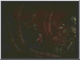 Devil May Cry