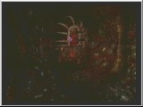 Devil May Cry