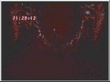 Devil May Cry