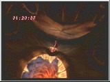 Devil May Cry