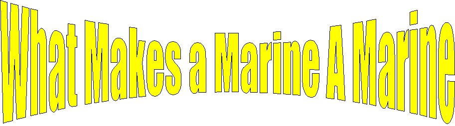 What Makes a Marine A Marine