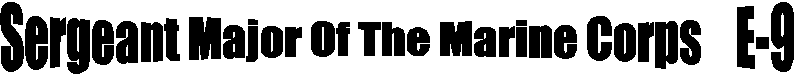 Sergeant Major Of The Marine Corps    E-9