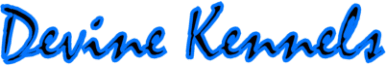 Devine Kennels