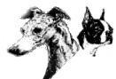 Devine Kennels Logo
