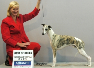 Winning BoB at Brisbane Royal 2005
